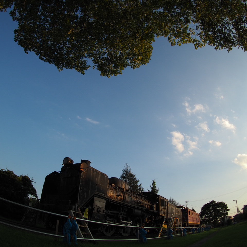 p8291493.jpg